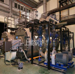 燃氣導熱油爐
